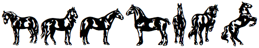 Linotype Dressage