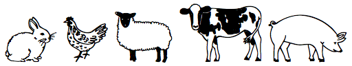 Farm Doodles
