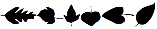 Plants-Leaves