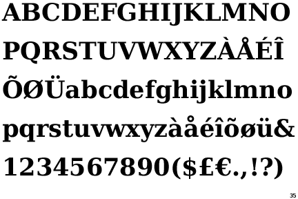 DejaVu Serif Bold