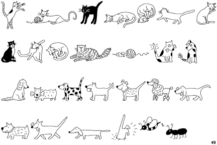 Raining Cats and Dogs