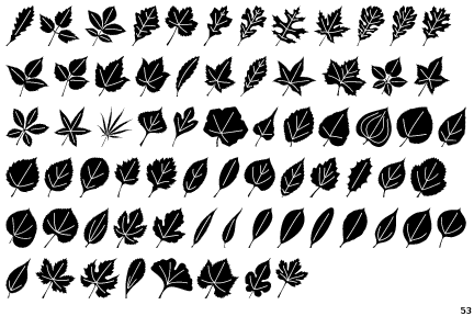 Leaf Assortment