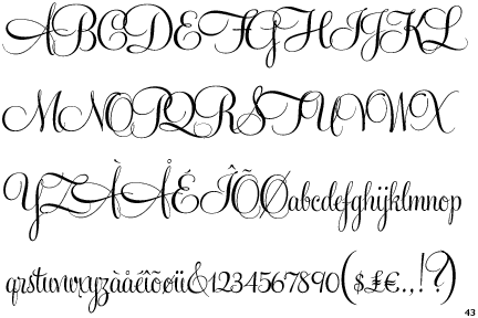 Feel Script