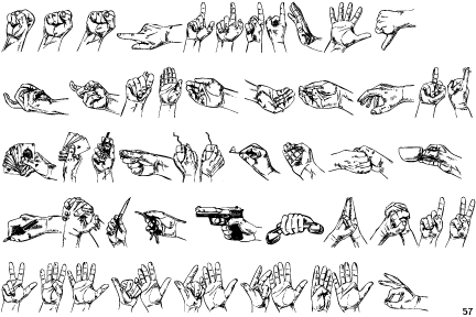 My Hands