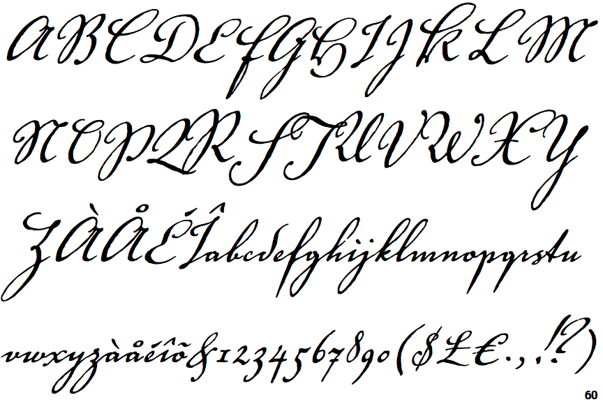 Voluta Script