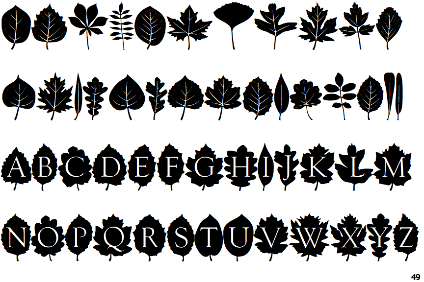 Leaves