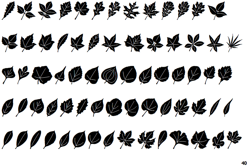 Leaf Assortment