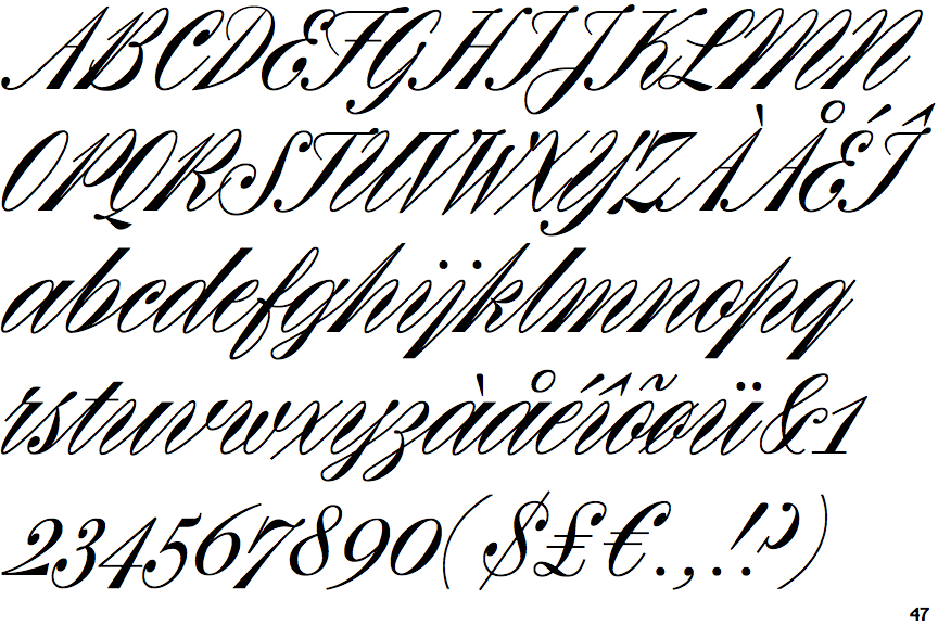 Rizado Script