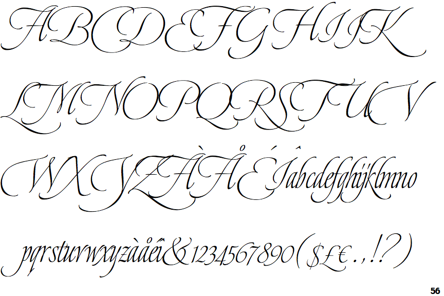 Dream Script