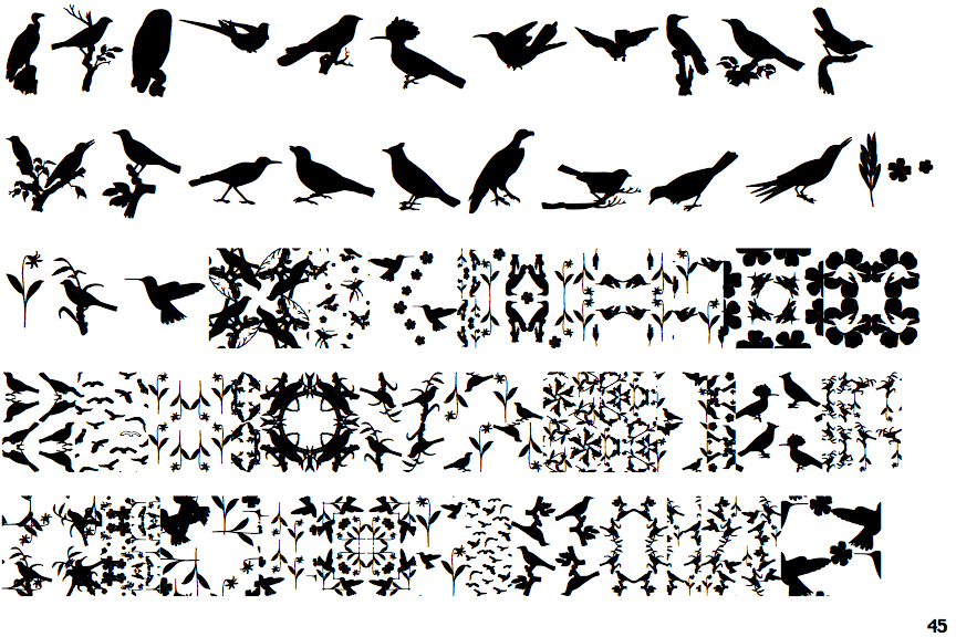 Love Birds Pattern