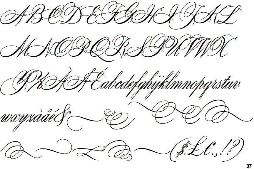 Splendid Script