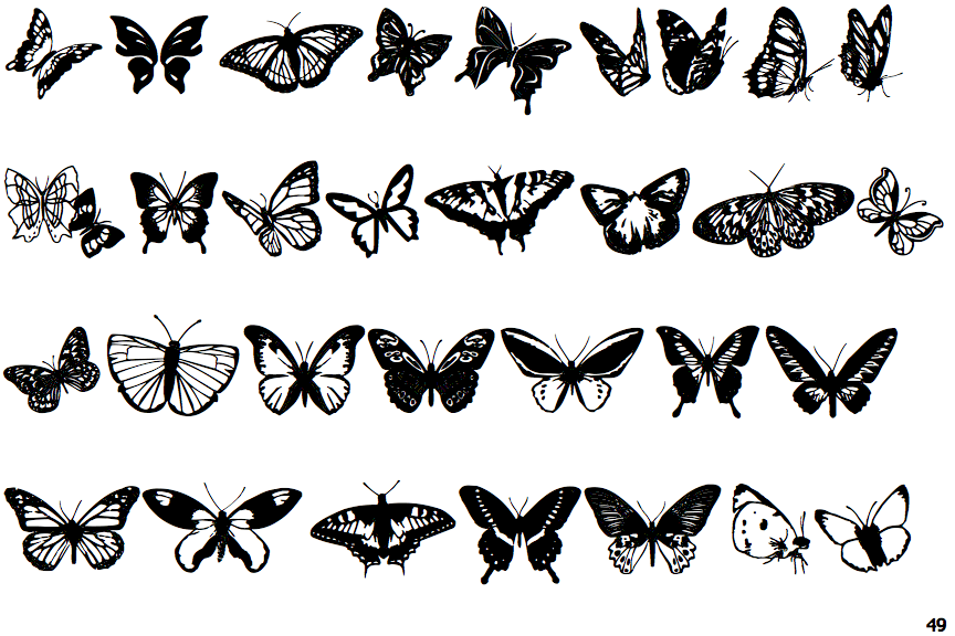 Butterflies